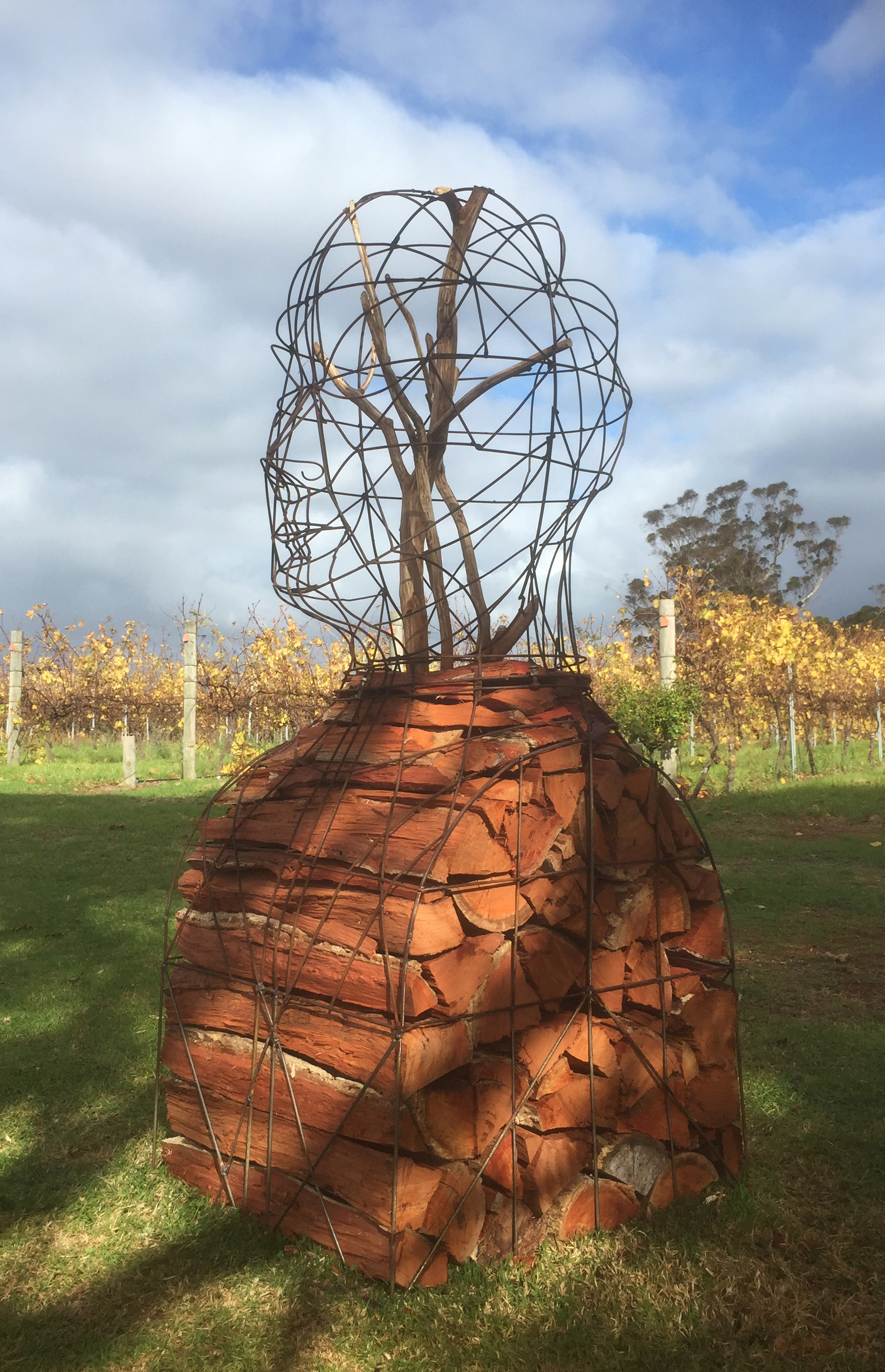 woodsman,head stack 5 cropped